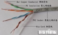 一根网线可以当网线也可以当电话线使用的制作方法
