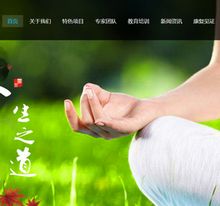 响应式经络养生健康类网站织梦模板(自适应手机端)