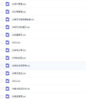 extjs4.0开发商城实战视频教程