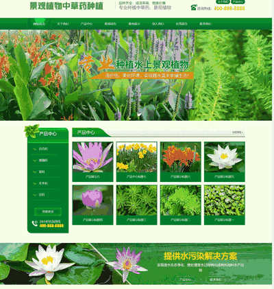 中草药景观树木种植类通用织梦网站模板(带手机端)