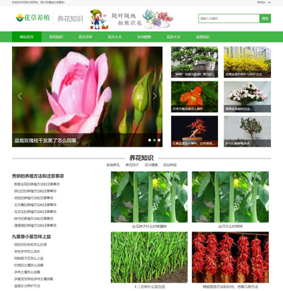 花卉花草种植新闻资讯门户类网站模板(带手机端)