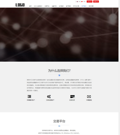  大气中英双语金融外汇服务公司企业织梦网站模板 