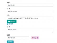 PbootCMS通过layui实现留言文件上传功能