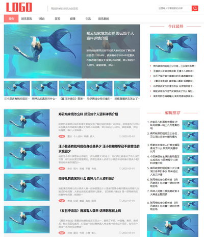简洁新闻资讯博客主题类网站pbootcms模板