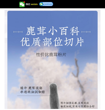 移动营销推广落地页pbootcms网站模板