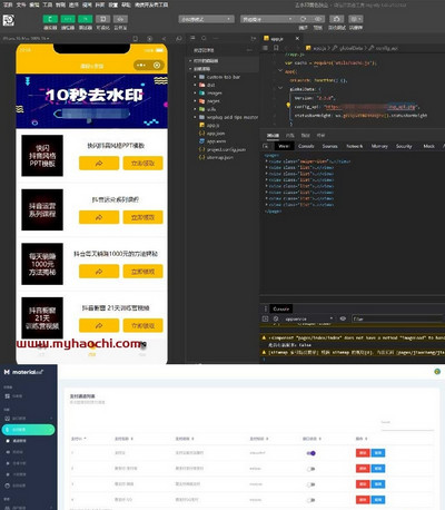WEB接口版去水印小程序源码